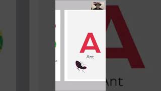 ABCD Nature Alphabet book
