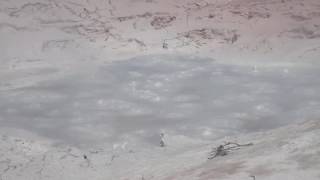 Yellowstone mudpot