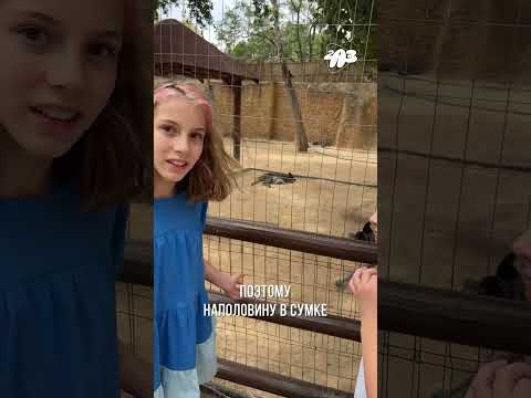 😱 ШОК! Кенгуру родила настолько БОЛЬШОГО ребёнка, что он НЕ ПОМЕЩАЕТСЯ в её СУМКУ!