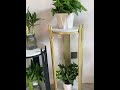 Elegant 2-Tier Metal Plant Stand 🌿 Perfect for Indoor & Outdoor Decor