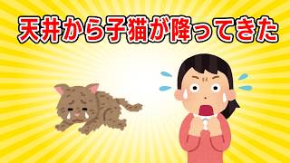 【2ch NNN】天井の穴からボロボロの猫が落ちてきた！