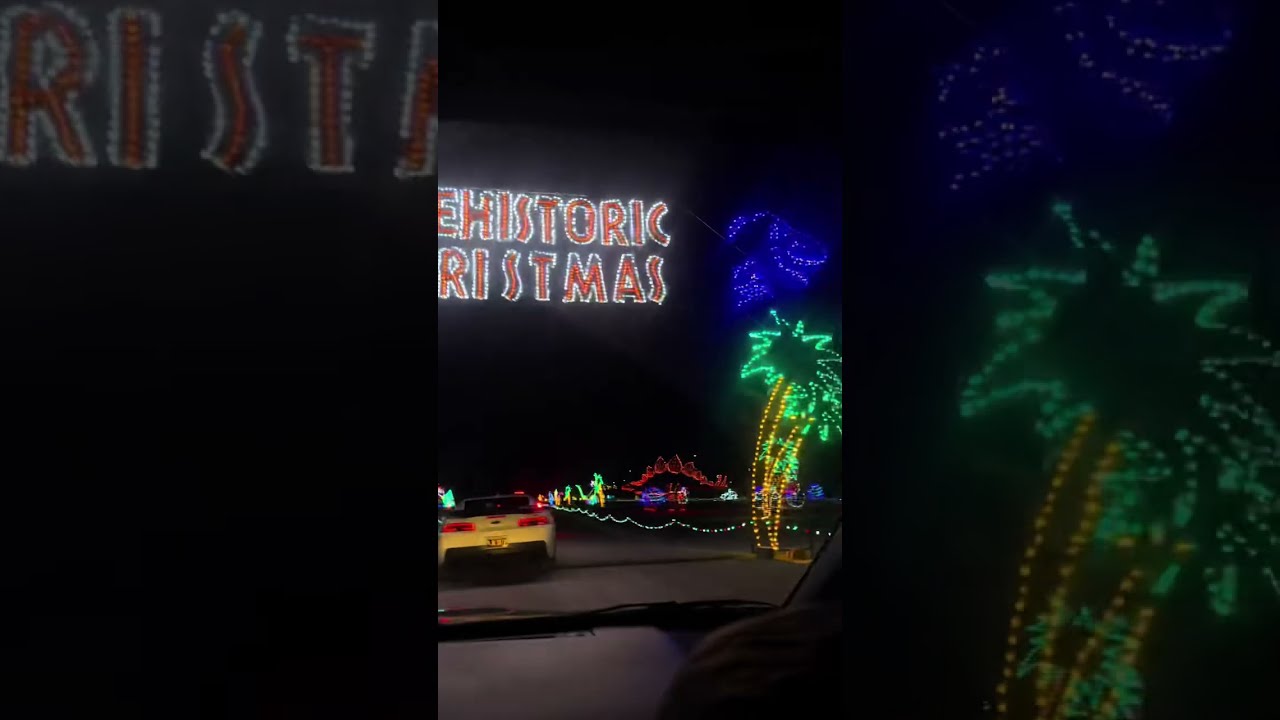 Family Night: Christmas Lights Magic 