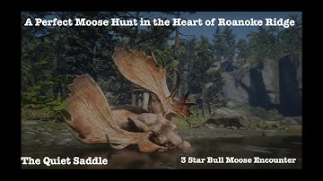 A Perfect Moose Hunt in the Heart of Roanoke Ridge | RDR2 Ambience & ASMR Adventure