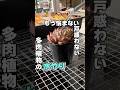 必ずぶつかる水やりの壁　#succulent #多肉植物 #エケベリア #多肉 #mokimoki #モキモキ