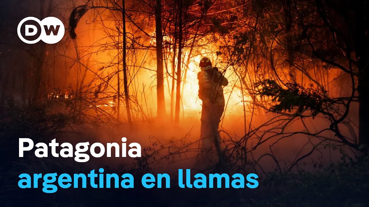 Incendios en la Patagonia argentina afectan 21.000 hectáreas y ...