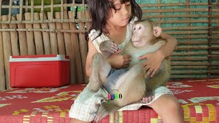 So Wonderful Sister Sreye Warmly Hold Gorgeous Monkey Koko | Koko Very Polite by Monkey KOKO 9,135 views 1 year ago 8 minutes, 11 seconds