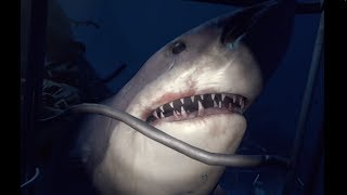 【PSVR】Ocean Descent サメとの遭遇（PlayStation VR WORLDS）