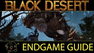 [Black Desert Online] Guide: Endgame Guide (NA/EU Launch) *Outdated* @Domeran