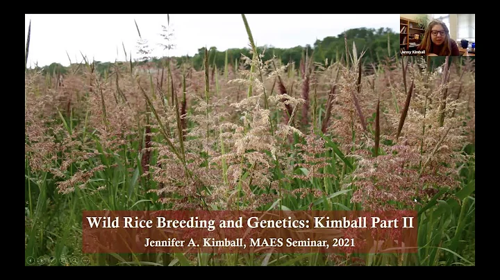 Wild Rice Breeding and Genetics - Jennifer Kimball...