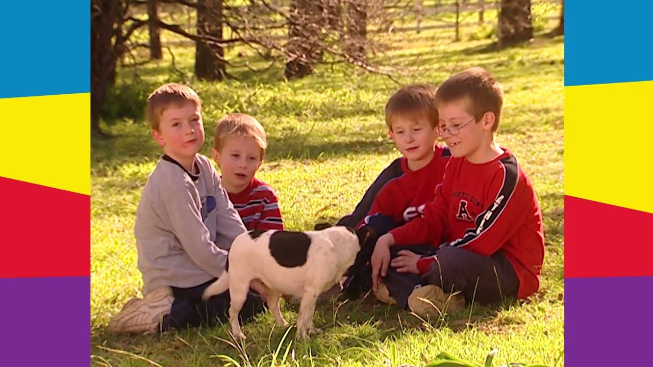 Bow Wow Wow | The Wiggles #OGWiggles