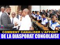 Comment canaliser lapport de la diasporat congolaise audveloppement du pays 290424