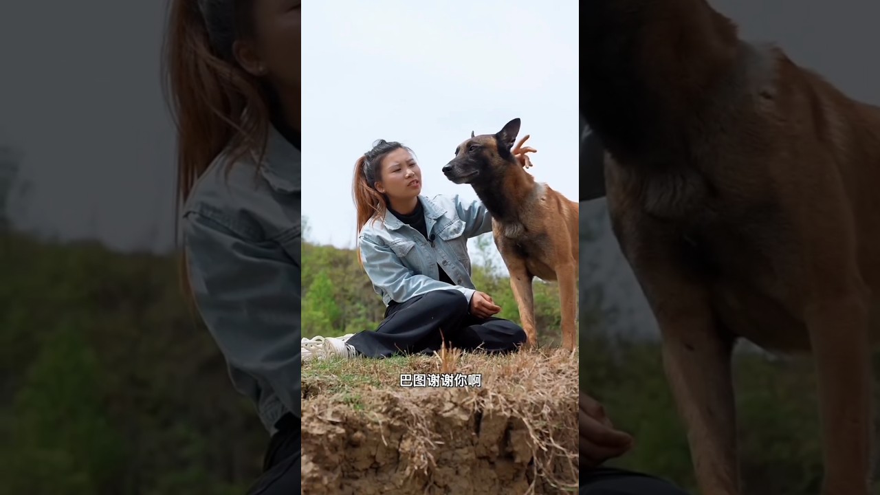 शेरू की मालकिन पहाड़ के खाई में गिर गई...😱 #shorts #animals #dog