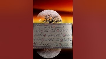 القرآن الكريم راحة نفسية__سورة التكاثر🙏😇🕌