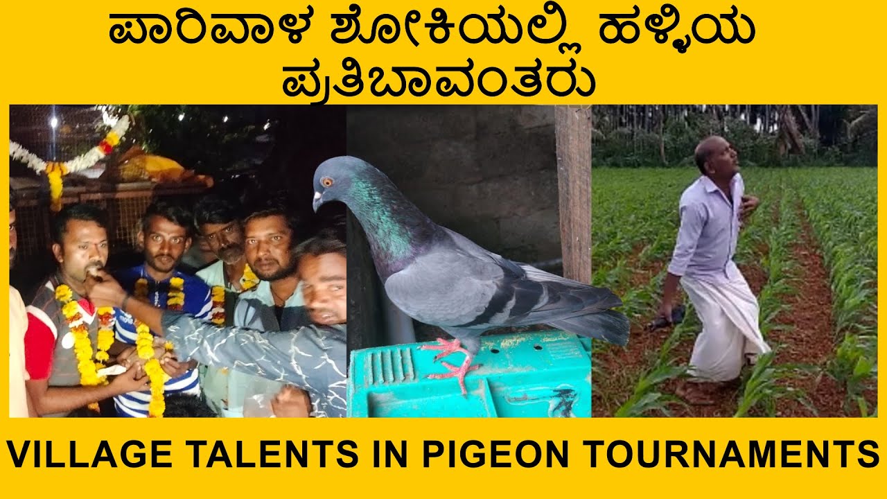 ಪಾರಿವಾಳ ಶೋಕಿಯಲ್ಲಿ ಹಳ್ಳಿಯ ಪ್ರತಿಬಾವಂತರು | Village talents in pigeon tournaments