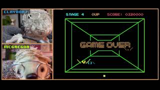 SQUIRREL & SLOTH play vintage space flyer game screenshot 5