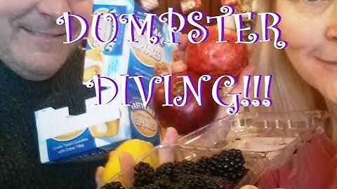 Aldi and Dollar Store Dumpster Dive Hauls! ~Freakin