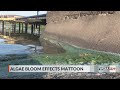Illinois EPA results to come Saturday for Mattoon water