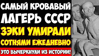 видео: СТРОЙКА СМЕРТИ ИМЕНИ СТАЛИНА: Власть скрывала это 70 ЛЕТ! картинка: СТРОЙКА СМЕРТИ ИМЕНИ СТАЛИНА: Власть скрывала это 70 ЛЕТ!