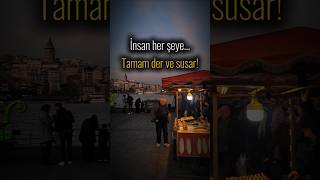 İnsan Bazen Tamam Der Ve Susar