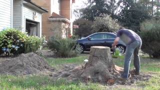 Removing Front Yard Oak Tree