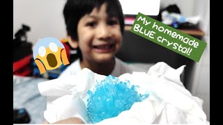 Elijah's Planet | National Geographic Crystal Growing Lab #crystalgrowing kit #stem Nat Geo Crystal Growing Lab