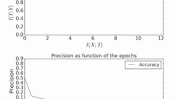 The optimization process in the Information Plane  - symmetric rule