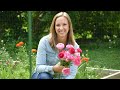 How To Grow Ranunculus. Soaking, Presprouting, Planting, Covering, Harvest // Northlawn Flower Farm