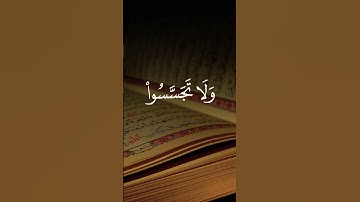 قرآن كريم #اكسبلور #تيك_توك #لايك #اكسبلورفولو #flowers #صباح_الخير #قرآن #قران_كريم