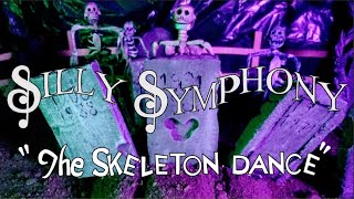 The Skeleton Dance-Disney [Stop Motion Remake]