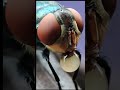 Menakjubkan 🔥 Begini Lah Wujud Asli lalat Dari Dekat