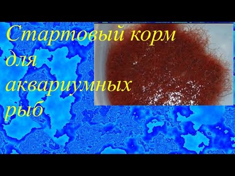 Стартовый корм для аквариумных рыб