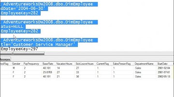 SSAS 113   Working with SCD