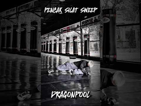 Pencak Silat sweep #tutorial #youtubeshorts #ytshorts #usa #russia #india #mma #shorts #shortvideo