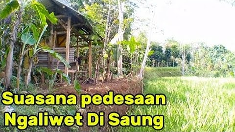 BAHAGIA HIDUP DI DESA‼️ Ngaliwet Di Saung Sawah