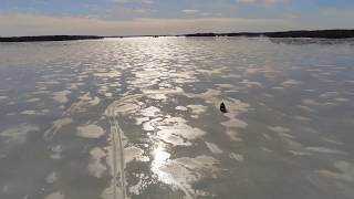 Parrot Anafi Follow Me Test