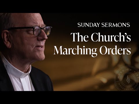 The Church’s Marching Orders - Bishop Barron's Sunday Sermon