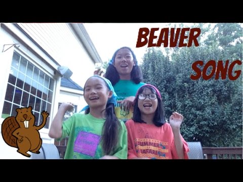 Beaver Song - YouTube