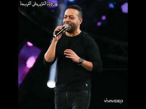 ما شفناش من وراهم خير تامر عاشور