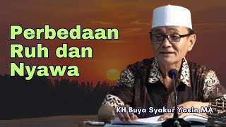BUYA SYAKUR: The Difference Between Spirit and Life