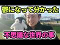 鬱になって分かった不思議な世界の事【集合意識】【多次元宇宙】
