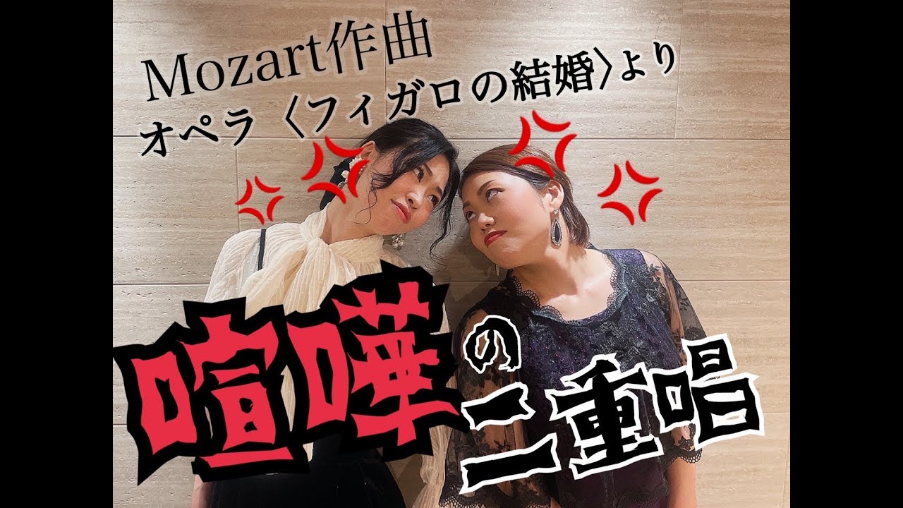 25,5cmマドラスヴィアカミーノ新品未使用　ビジネス冠婚葬祭にも最適！再度入荷 ヴィリーナ VIRINA フォーマル＆お受験スーツ/ノーカラーミディ丈