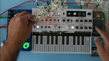Tactile Synthesis: A Live Jam with MicroFreak Stellar & Korg mini Kaossilator
