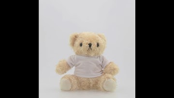 Sublimation Teddy Bear