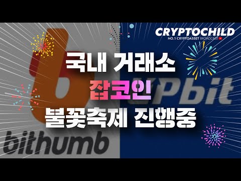 넉넉한 알트시즌, 비트코인 변동성에 놀라지마세요 / 국내 거래소들 잡코인 불꽃축제