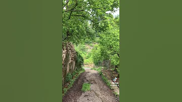 أحلى كوب قهوة مع أنعم صوت العملاقة فيروز ومناظر من بلدي لبنان غالي الدهب غالي 