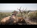 TOP 3 GIANT ARCHERY ELK SHOT IN COLORADO! - (compilation)