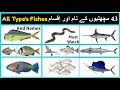 43 Types Of Fishes 43 اقسام کی مچھلیوں کے نام اور اقسام Fishes Name And Kinds Urdu Hindi