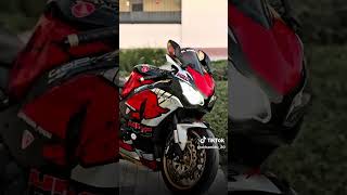 හාවෙක් 🥹❤️ #honda #cbr1000rr