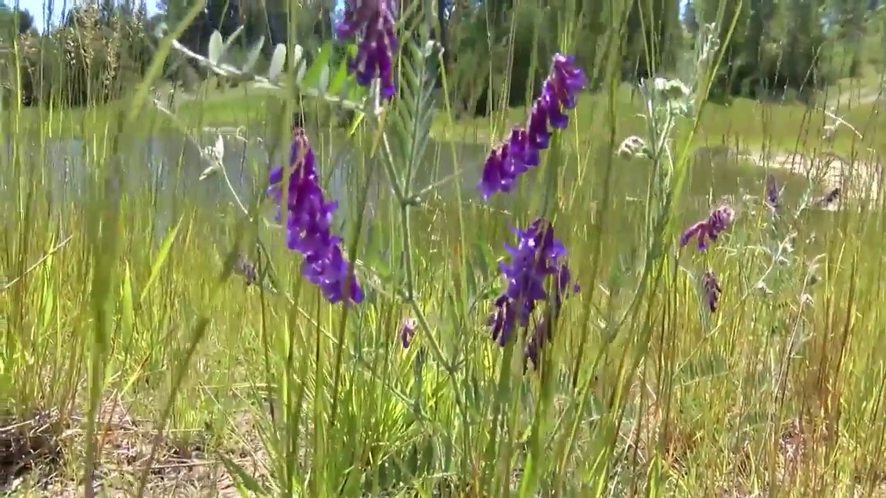 Questions raised over Whitefish land deal with Zinke foundation