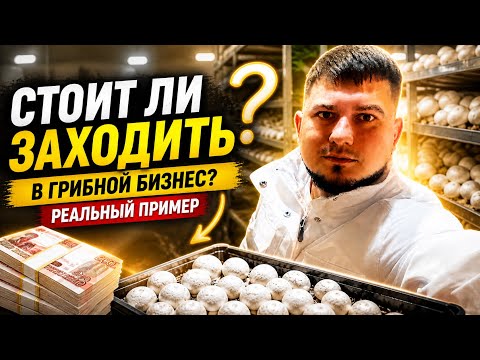 Is the mushroom business worth it? A real-life example